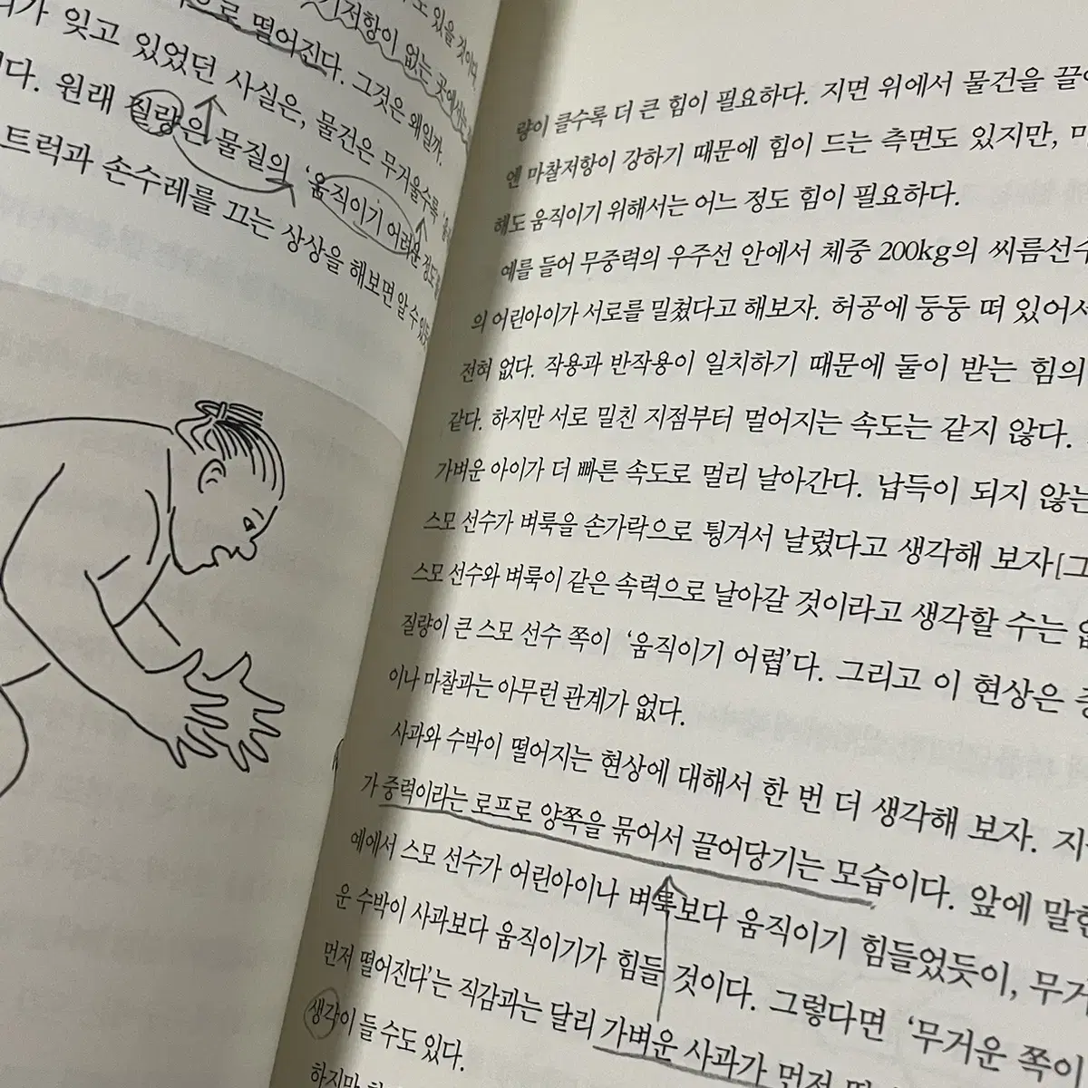 중력, 우주를 지배하는 힘 (도서)