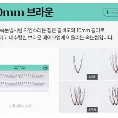 깜빡속눈썹 브라운10mm 2ea+속눈썹 글루+집게