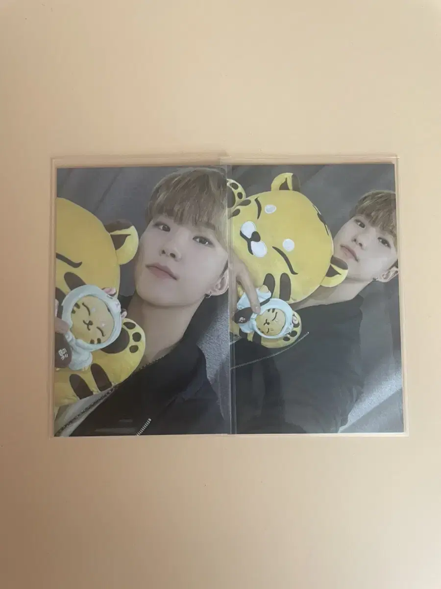 Seventeen Artists Made hoshi photocard