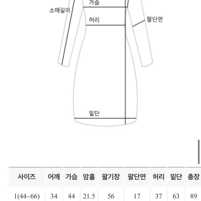 리얼코코 플라워 블랙 미니 원피스