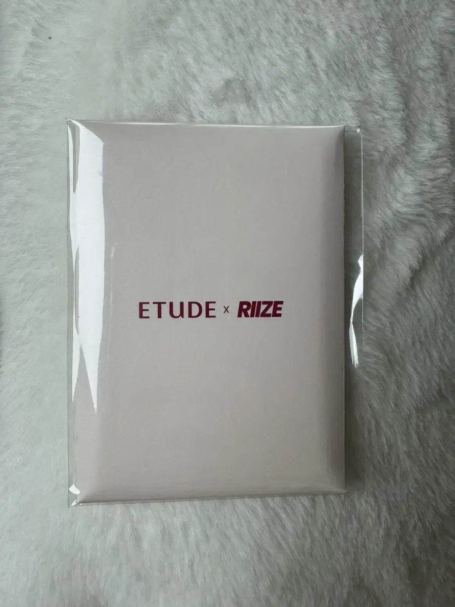 EtudeXRize Etude Overglow Tint riize photocardset