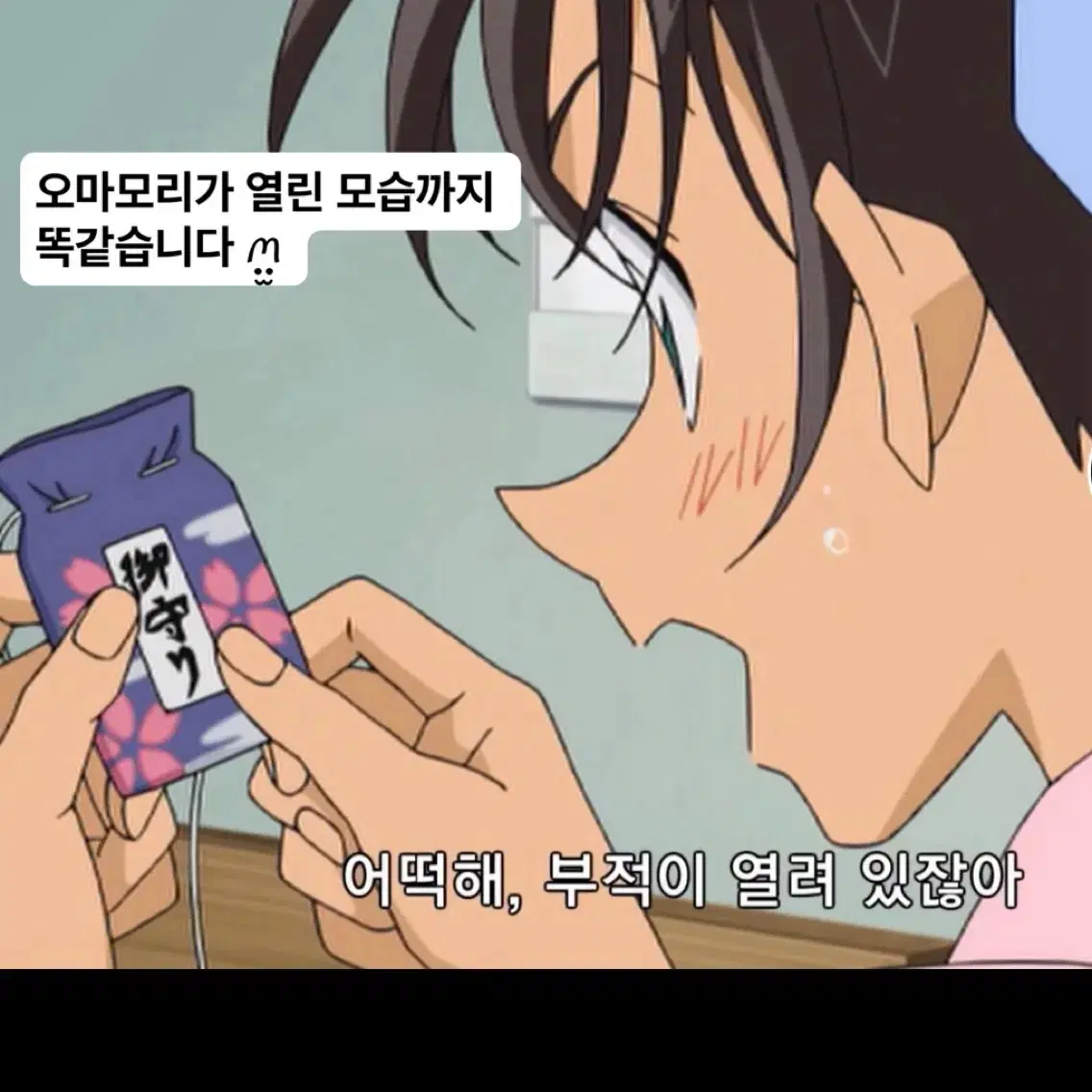 명탐정코난 헤이지 카즈하 오마모리 하인성 서가영 헤카 부적 핫토리 증사