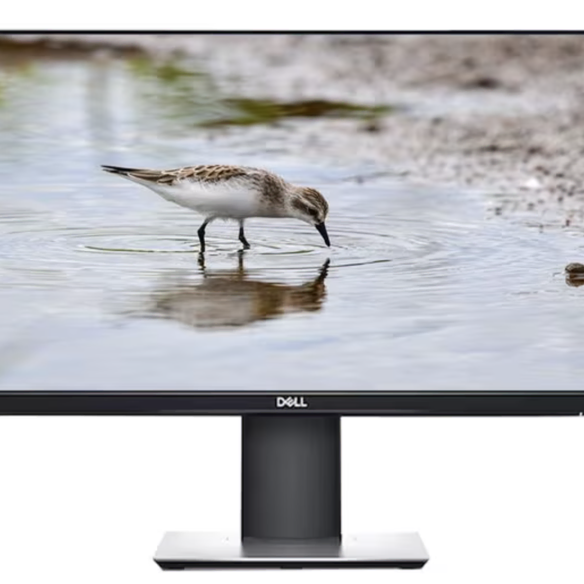 DELL P2719H 모니터