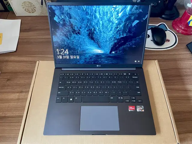 LG 울트라PC 엣지 (5625u/16g/256g)