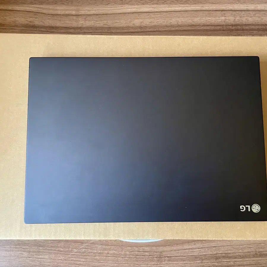 LG 울트라PC 엣지 (5625u/16g/256g)