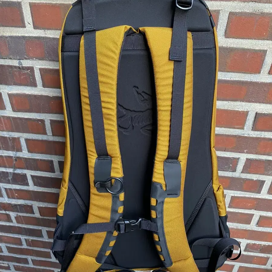 Arcteryx arro 22 백팩(새상품)