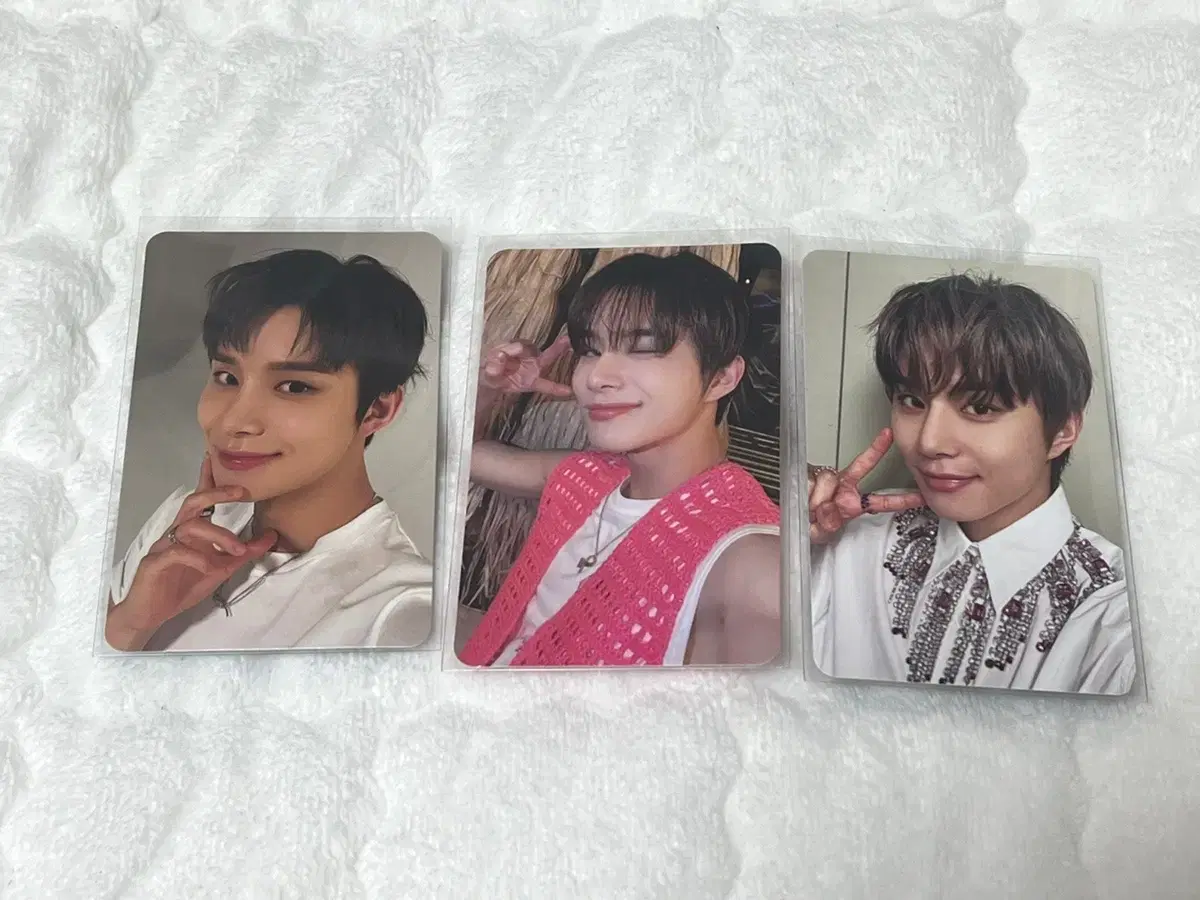 NCT 127 jungwoo photocard bulk wts Zuu Perfume Fact Check Alpo