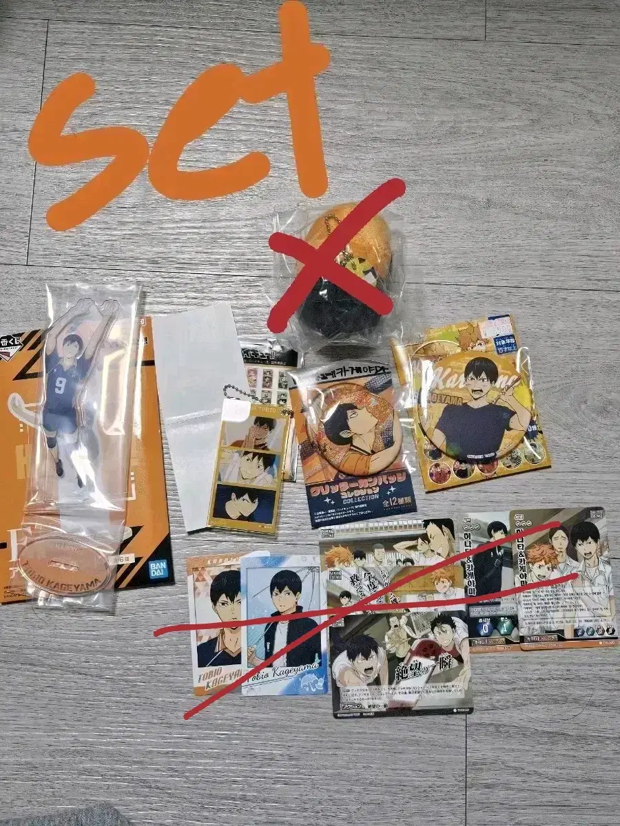 Haikyuu Kageyama Mochimasu / Can Badge / Acrylic (Individual / Set)