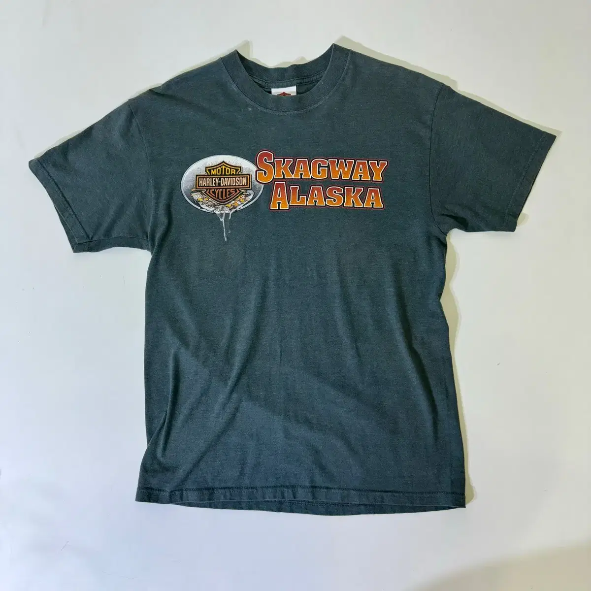 Harley-Davidson T-Shirt (kold_5616)