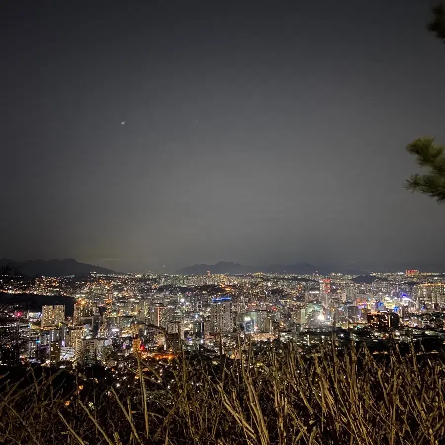 위아위스 리제로9 프레임 구매합니다