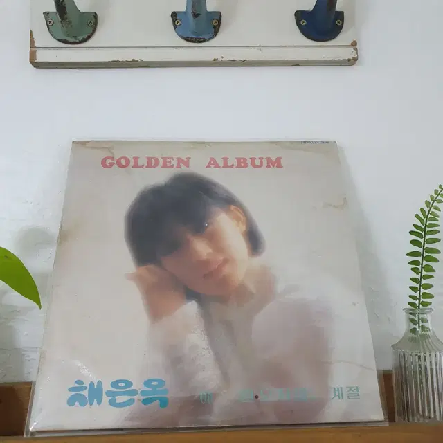 채은옥 골든앨범 LP  1986    빗물