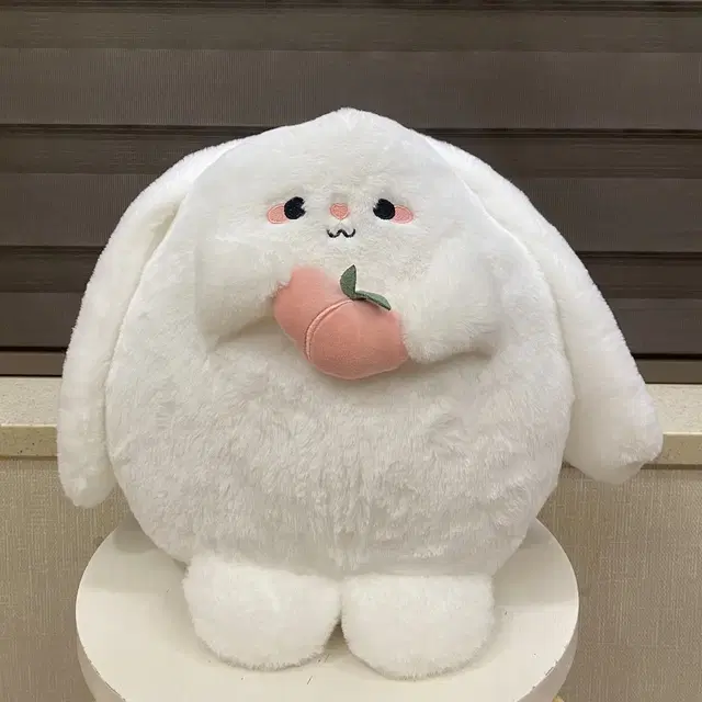 새상품) 짱프렌즈 토실이 인형 30cm