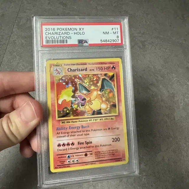 PSA 8 리자몽 영문 2016 XY Evo 포켓몬