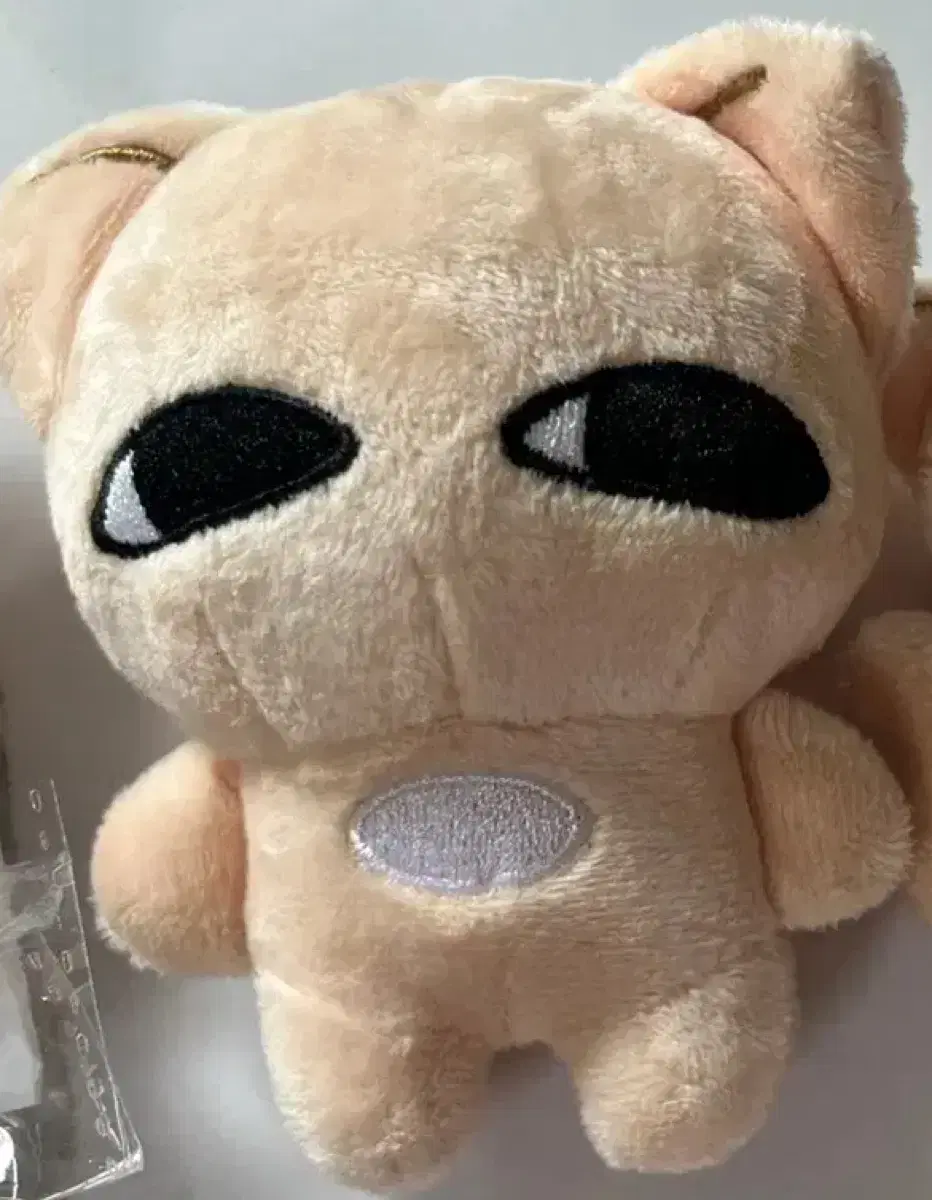 양어린녀석 skz i.n DollsSimple storage