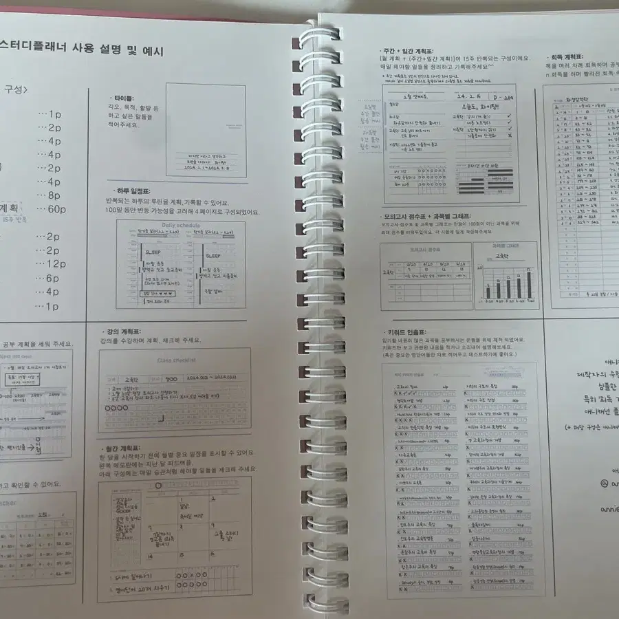 애니캐넌 100일 스터디플래너