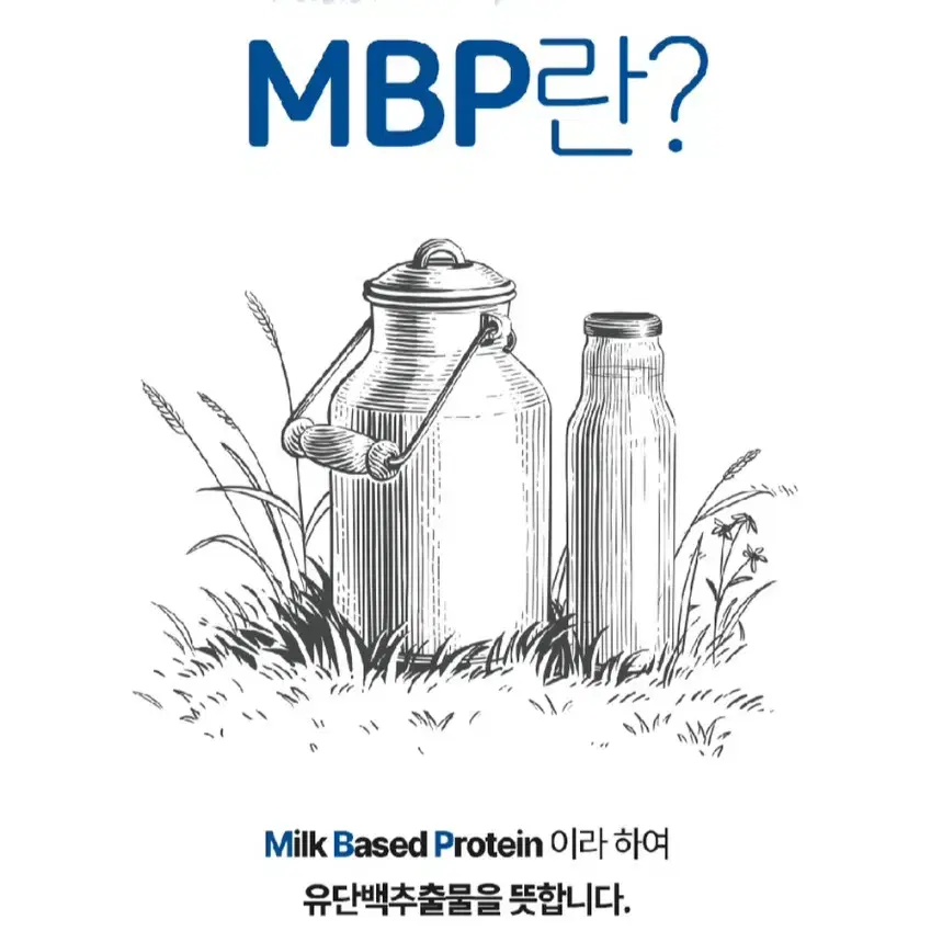 새제품 MBP 엠비피 분말 판매합니다