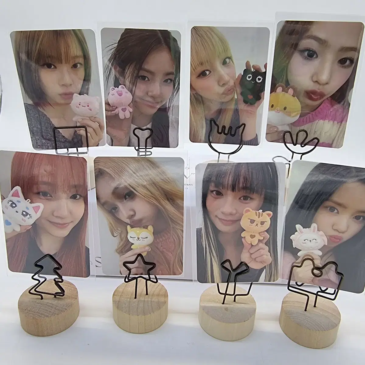 Eunice pop up sells 50,000 photo cards.