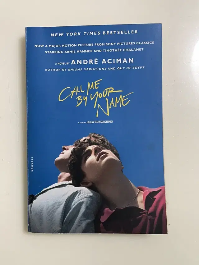 Callme by your name 콜바넴 원서