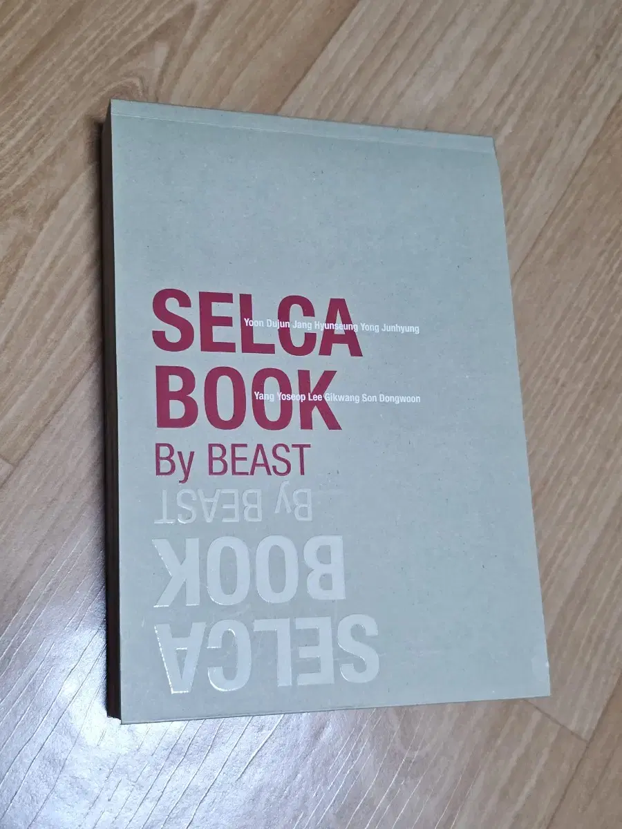 Beast 2013 selfie photobook