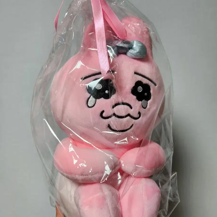 빤쮸토끼 봉제인형 싯팅 (23cm) / 부산 카카오 팝업