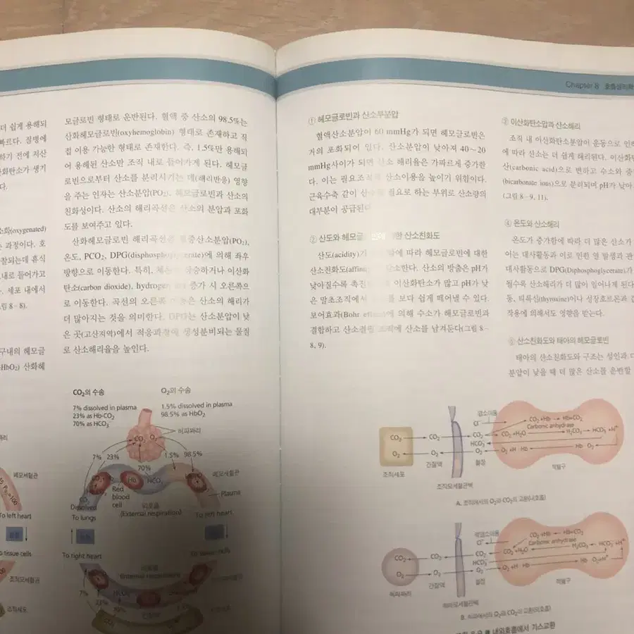 심폐물리치료학