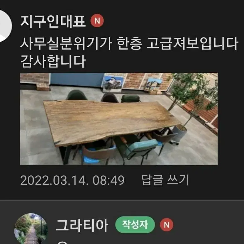 빈티지의 끝판왕 망고나무