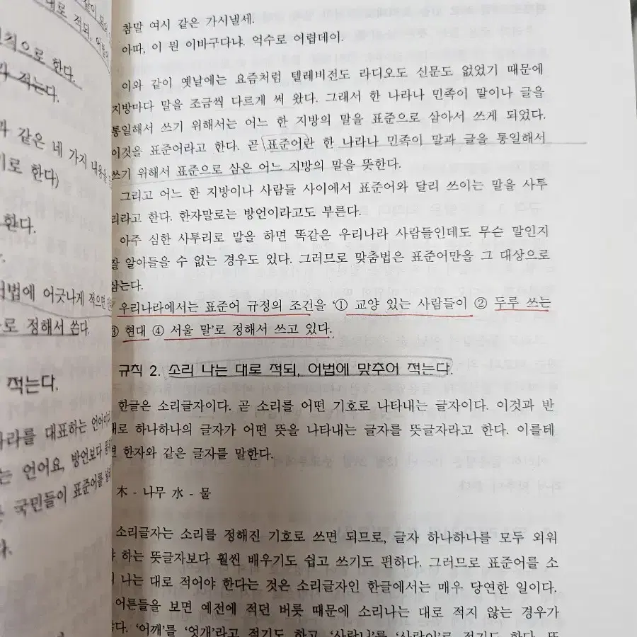 독서치료와 어린이 글쓰기 지도