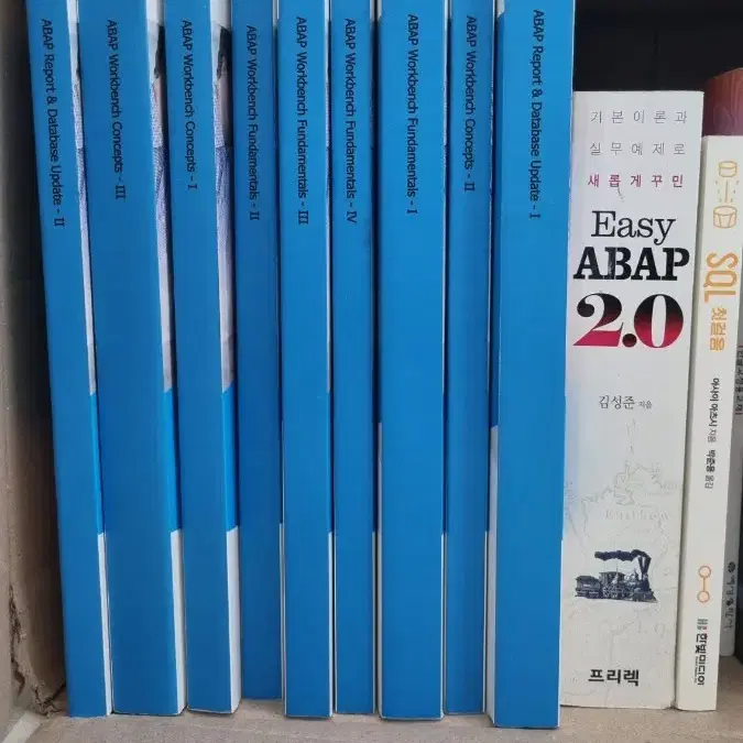 SAP ABAP 책