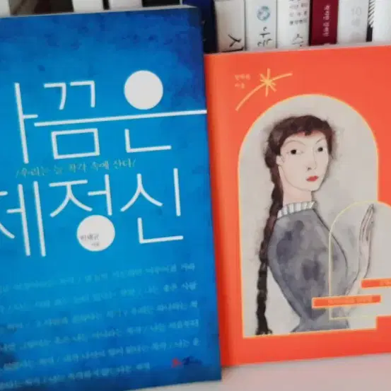 가끔은 제정신 .거의 새책 7000원 .여자의 미술관 8000원