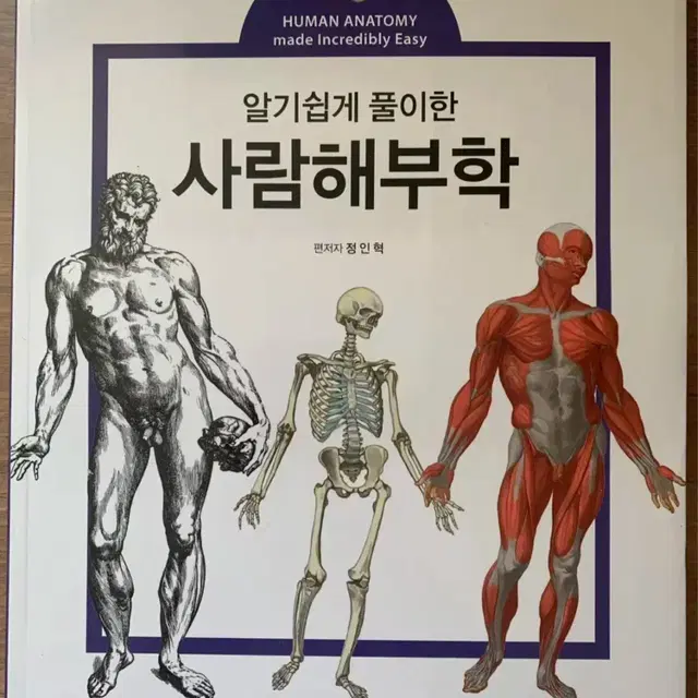 사람 해부학