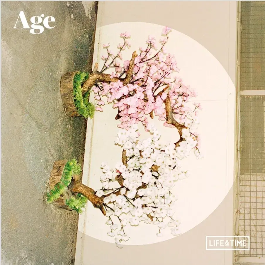 [미개봉 ] 라이프 앤 타임 앨범 cd Age