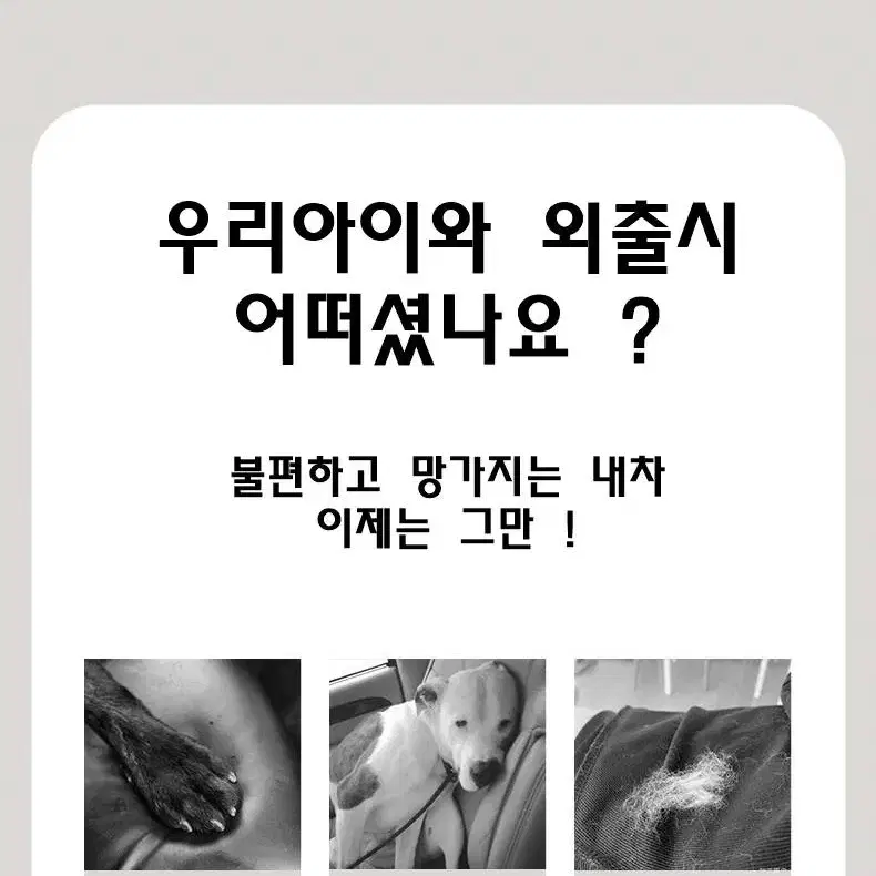 자동차 차량용 중형견 대형견 카시트 뒷자석 반려견 애견카시트