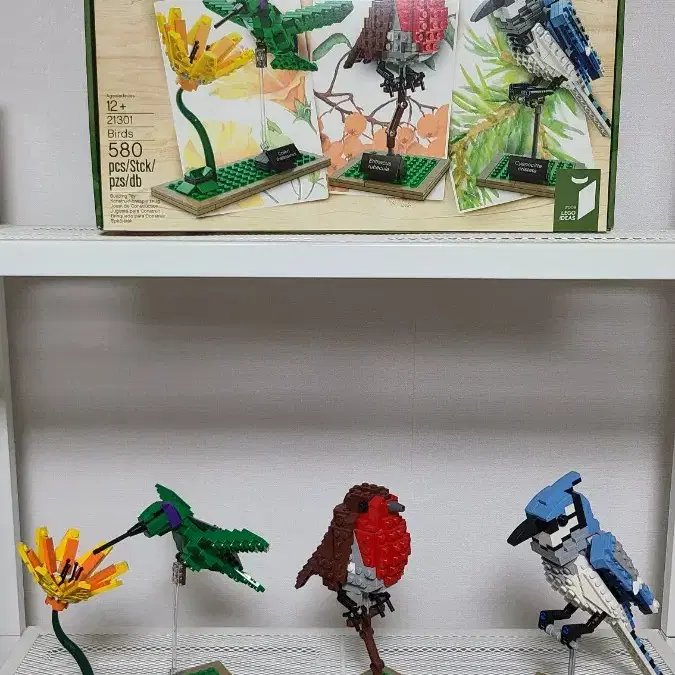 레고 21301 새 Birds