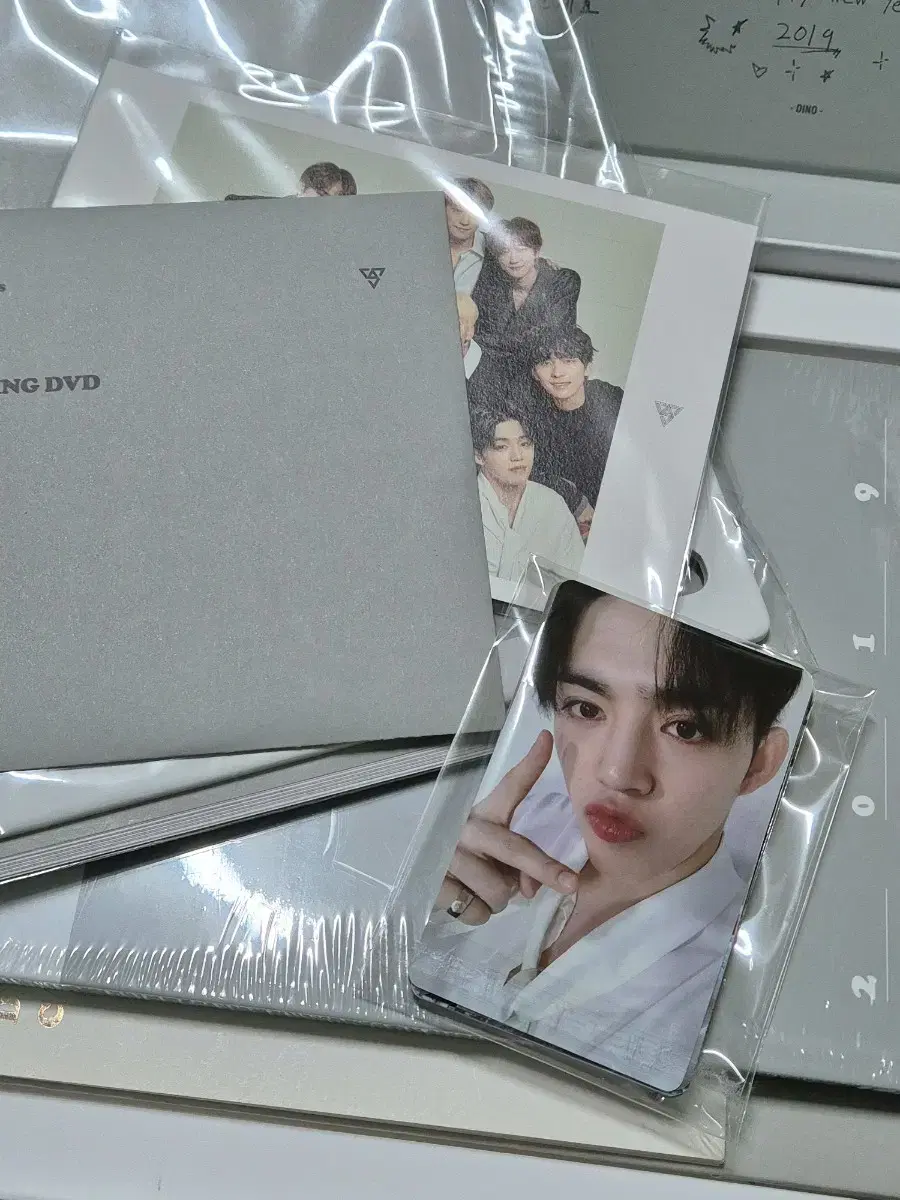 탈덕처분 세븐틴 시즌그리팅 2019 시그 풀셋 포카 포함 양도