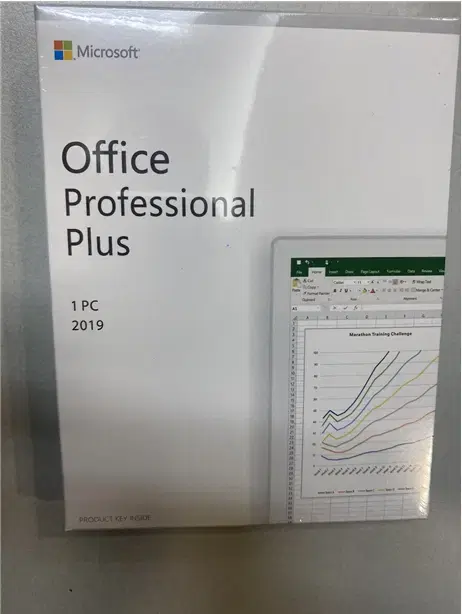 MS OFFICE 2019 Professional Plus/PKG