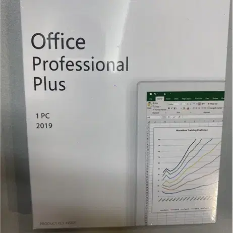 MS OFFICE 2019 Professional Plus/PKG