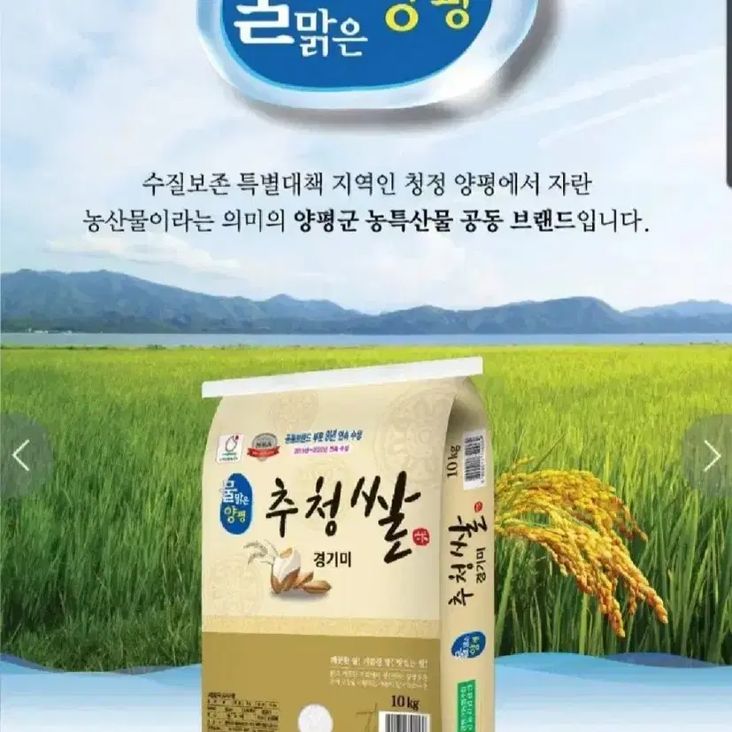 단하루선착순타임특가물맑은양평군농협경기미특등급23년햅쌀10KG26900