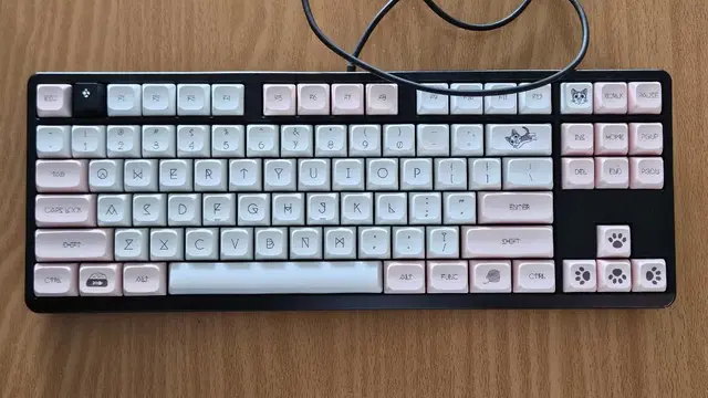 체리 G80-3000S TKL 블랙 갈축