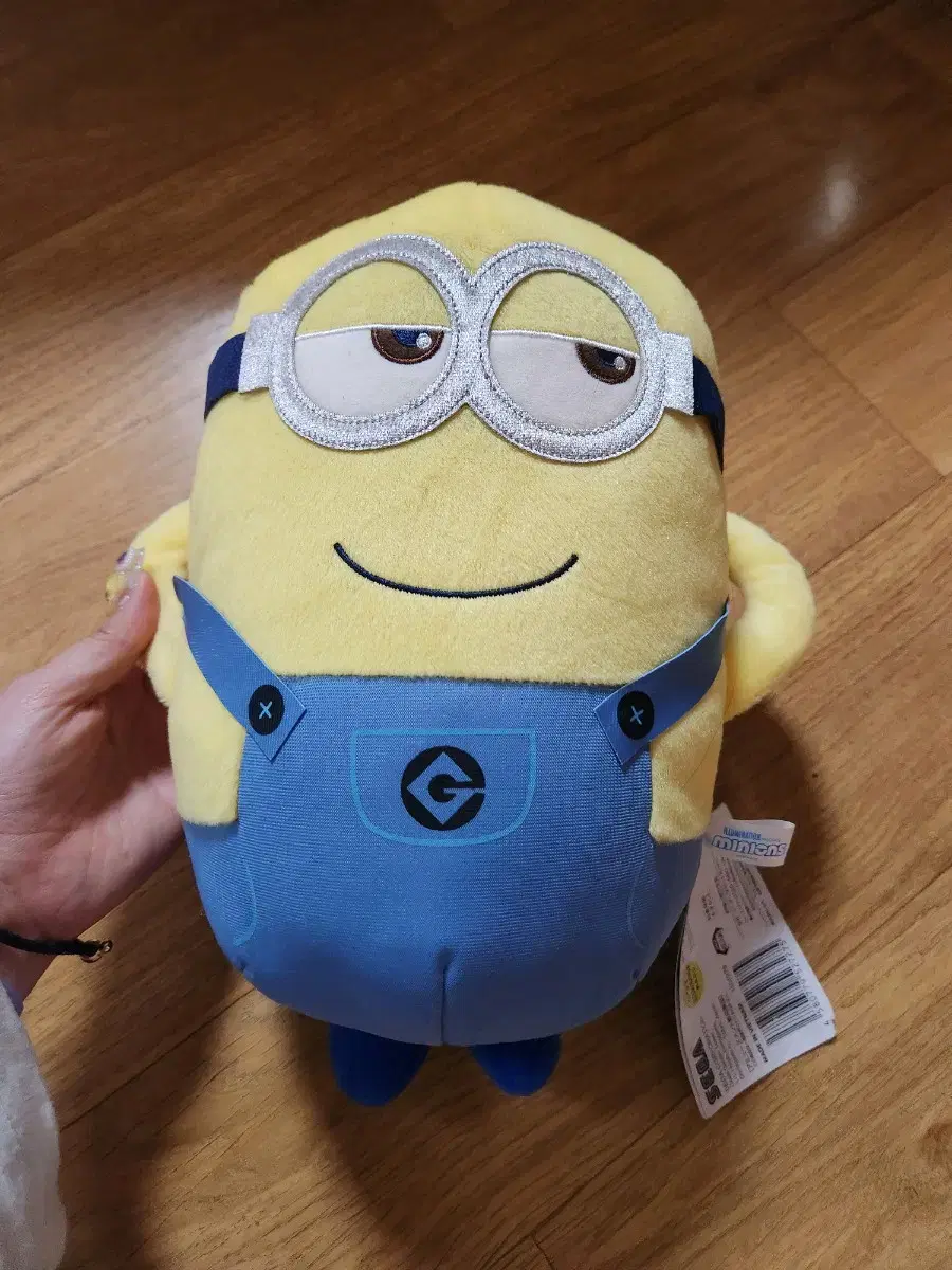 Universal Studios Minions Dolls