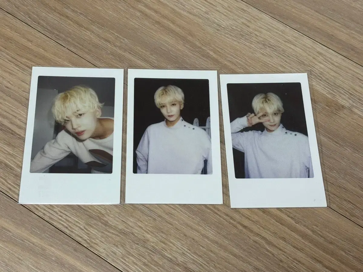 seventeen jeonghan 짭폴라 아기포카 wts