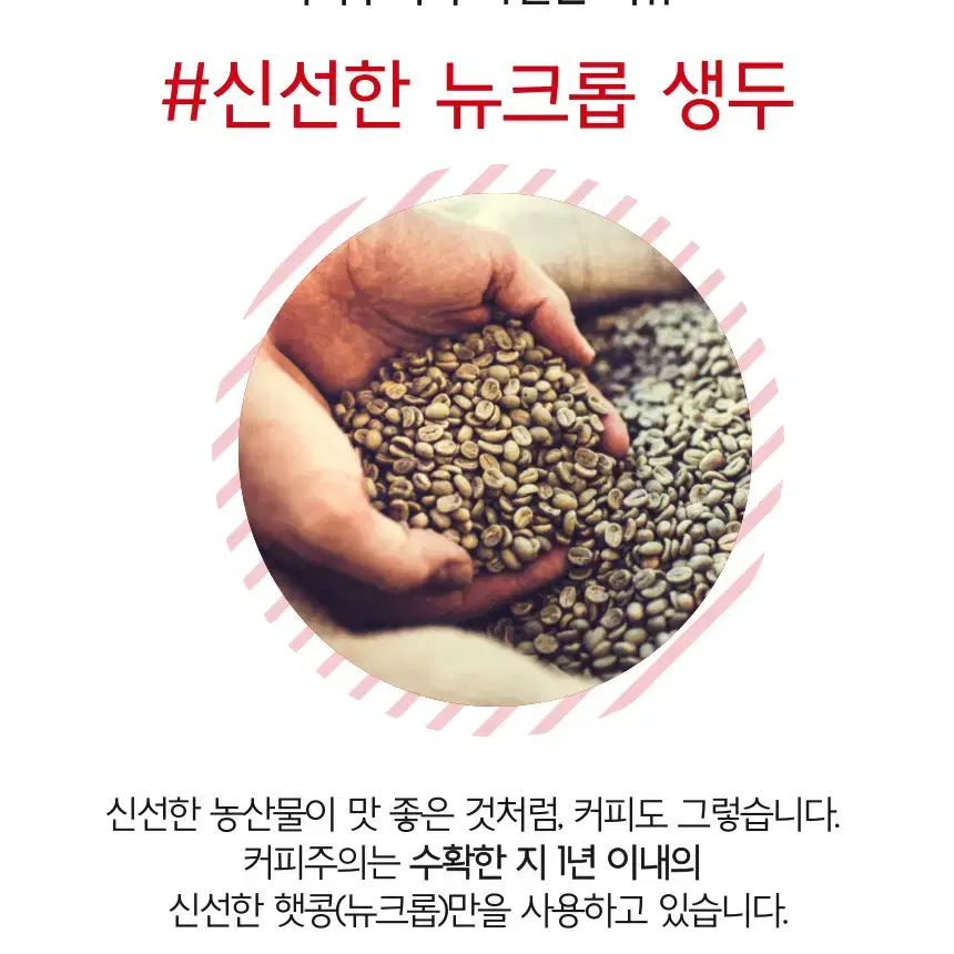 원두커피 500g 고소함과 산미의 절묘한 밸런스 콜롬비아 수프리모