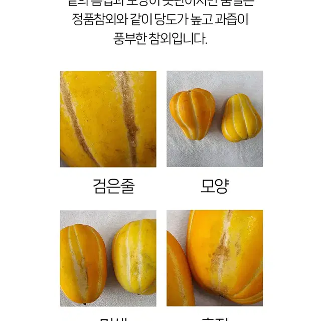 산지직송 최상급 고당도 성주 꿀참외 1-3kg