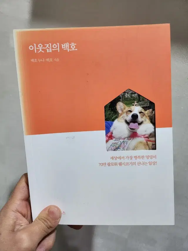 이웃집백호 책.도서   강아지.에세이