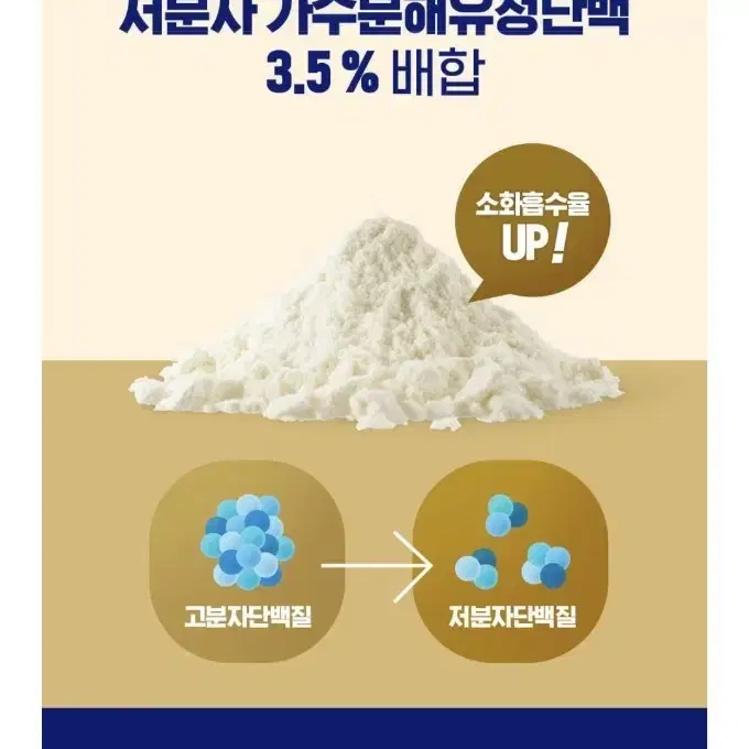 일동 후디스 초유단백질