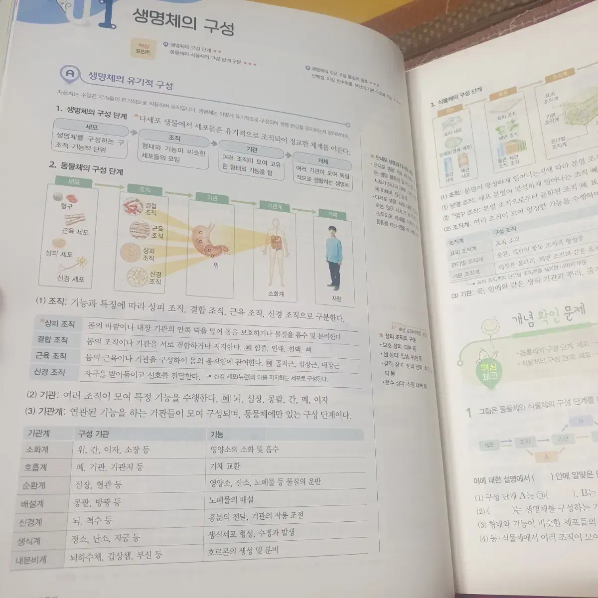 비상구 완자로 문제집 : 생명과학2