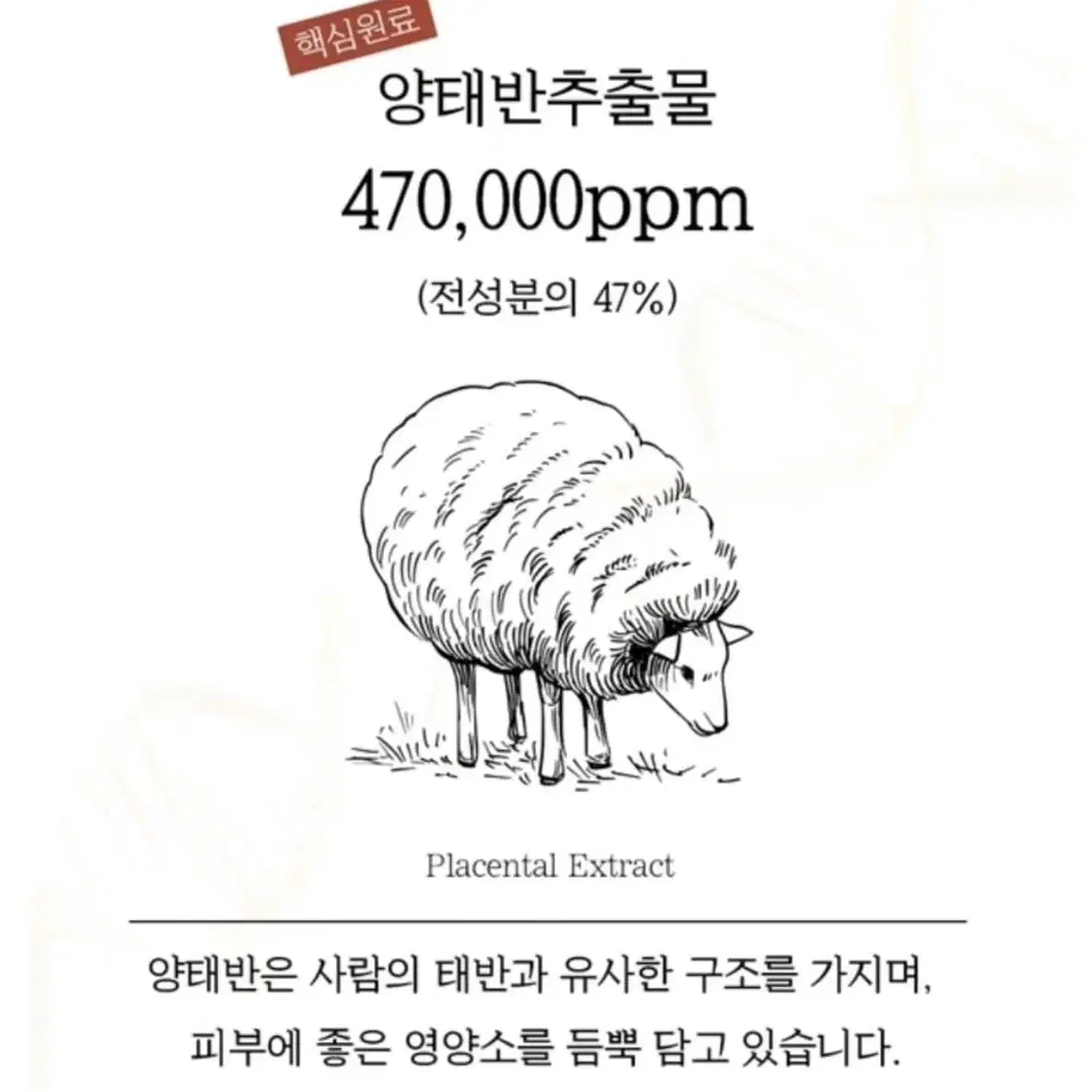 블랑두부 양태반