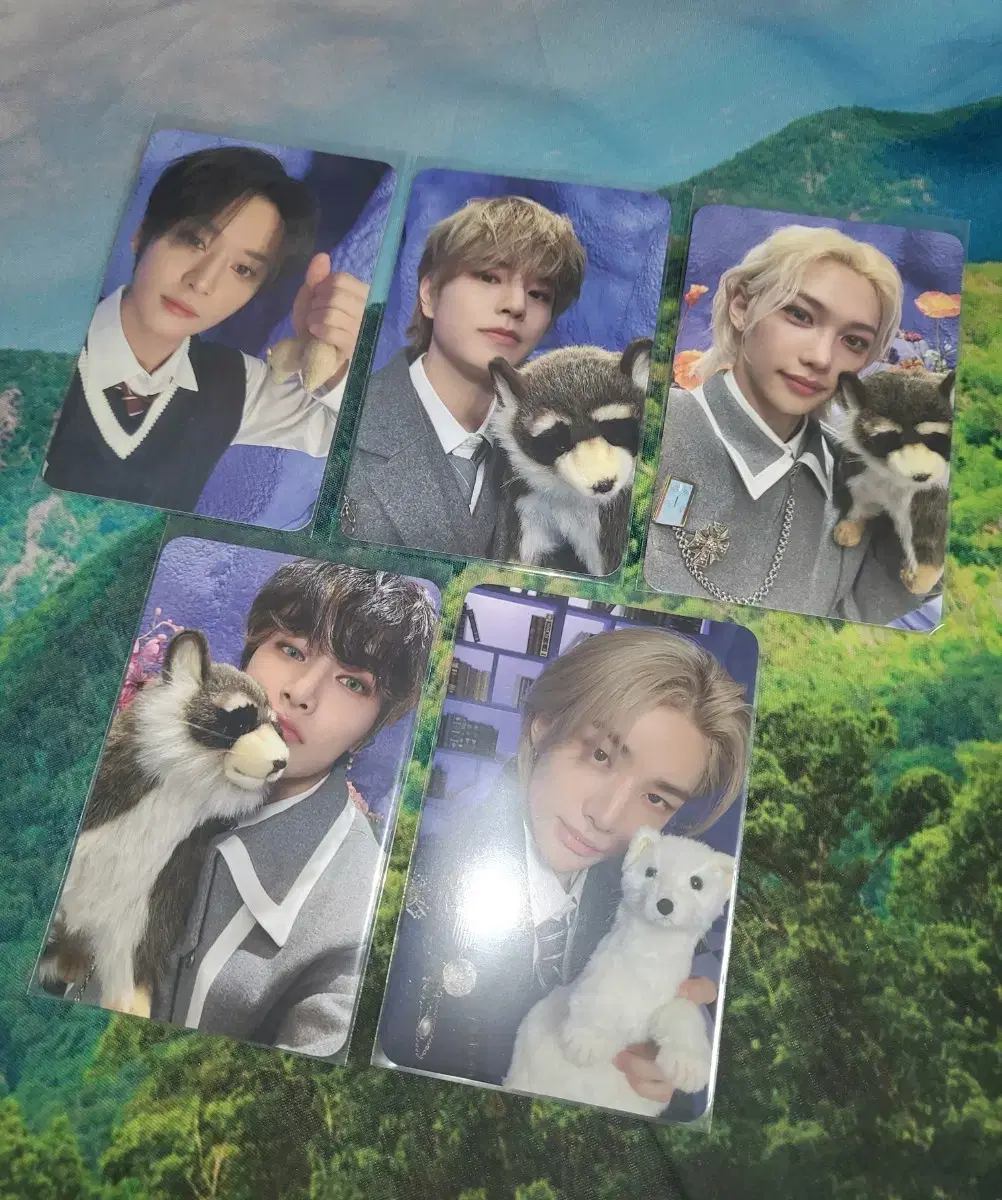 Skz Magic School Stayzone Makkon photocard wts!