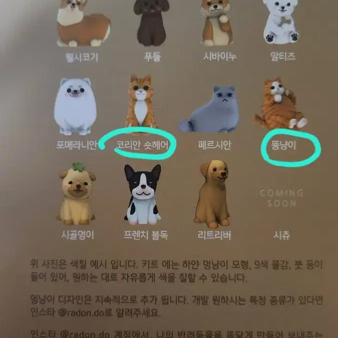 멍냥이 (고양이) 컬러링 키트 (코숏&뚱냥이)