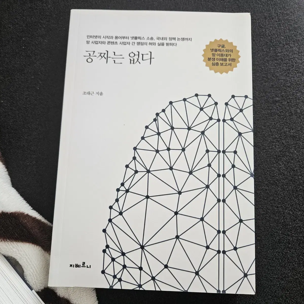 공짜는 없다  구글, 넷플릭스와의 망 이용대가 분쟁 이해를 위한