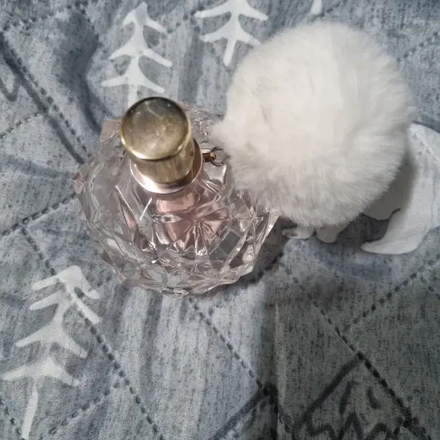 아리아나 그란데. 아리 & 스위트 라이크 캔디. EDP. 100ml.